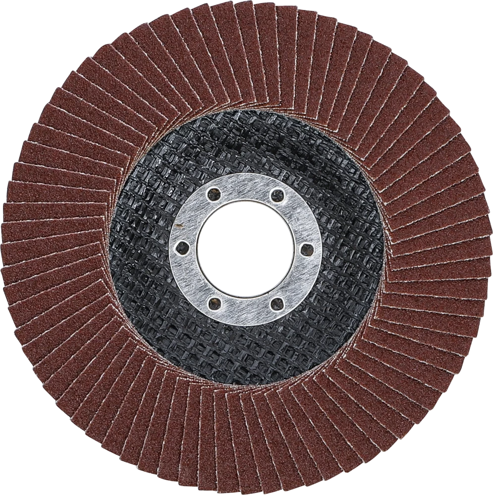 Fächer-Schleif-Scheibe, Ø 115 mm, K 120