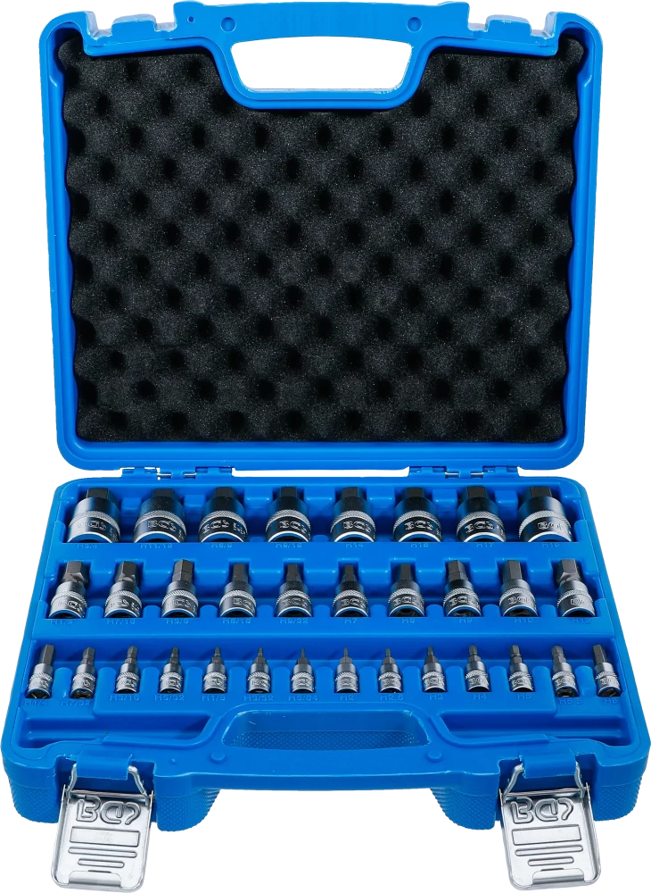 Bit-Einsatz-Satz, Antrieb Innenvierkant 6,3 mm (1/4") / 10 mm (3/8") / 12,5 mm (1/2"), Innensechskant 2 - 19 mm / 1/4 - 9/16", Metrisch und Zollgrößen, 32-tlg.