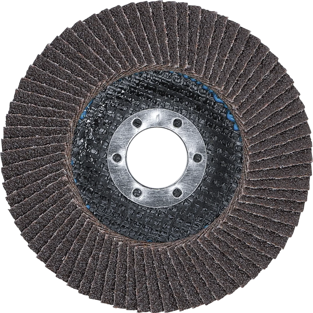 Fächer-Schleif-Scheibe, Ø 115 mm, K 60