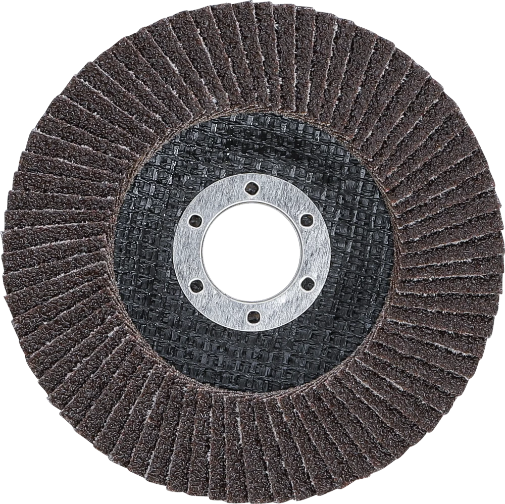 Fächer-Schleif-Scheibe, Ø 115 mm, K 40