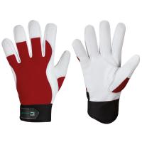 ELYSEE® Handschuhe Carver