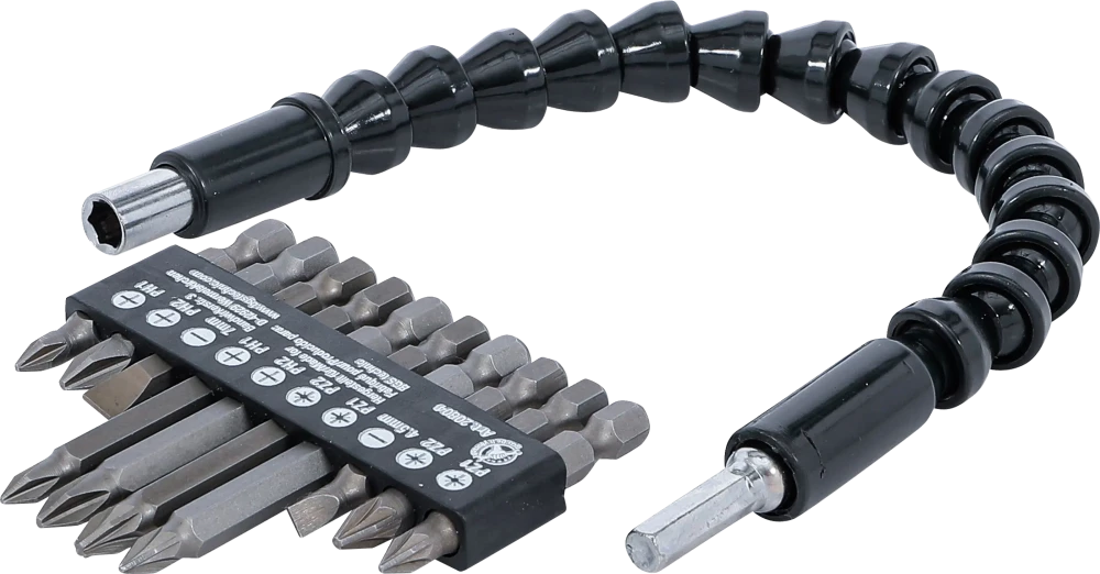 Bit-Satz mit flexibler Welle, Antrieb Außensechskant 6,3 mm (1/4"), 11-tlg.