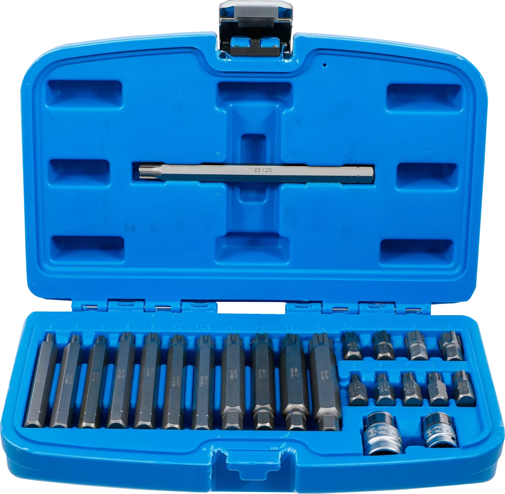 Bit-Satz, Antrieb Außensechskant 10 mm (3/8"), Keil-Profil (für Ribe), 22-tlg.