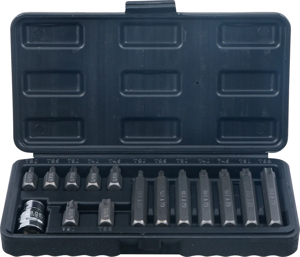 Bit-Satz, Antrieb Außensechskant 10 mm (3/8"), T-Profil (für Torx), 15-tlg.