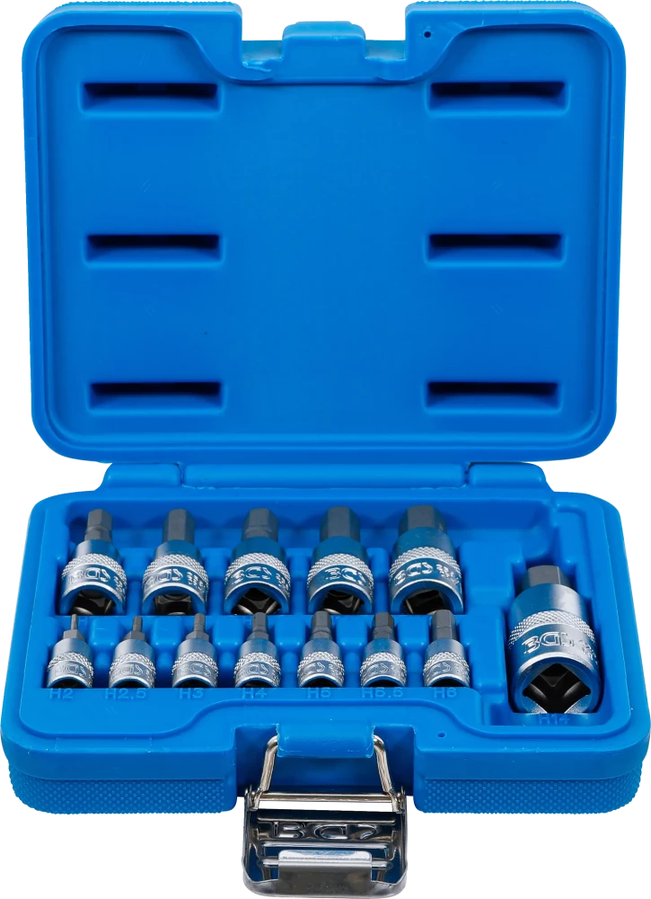 Bit-Einsatz-Satz, Antrieb Innenvierkant 6,3 mm (1/4") / 10 mm (3/8") / 12,5 mm (1/2"), Innensechskant 2 - 14 mm, 13-tlg.