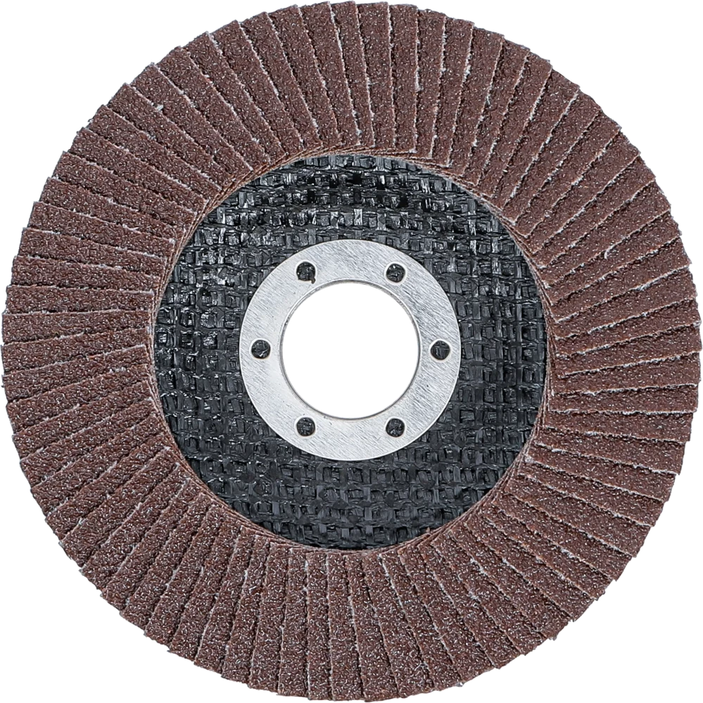 Fächer-Schleif-Scheibe, Ø 115 mm, K 80